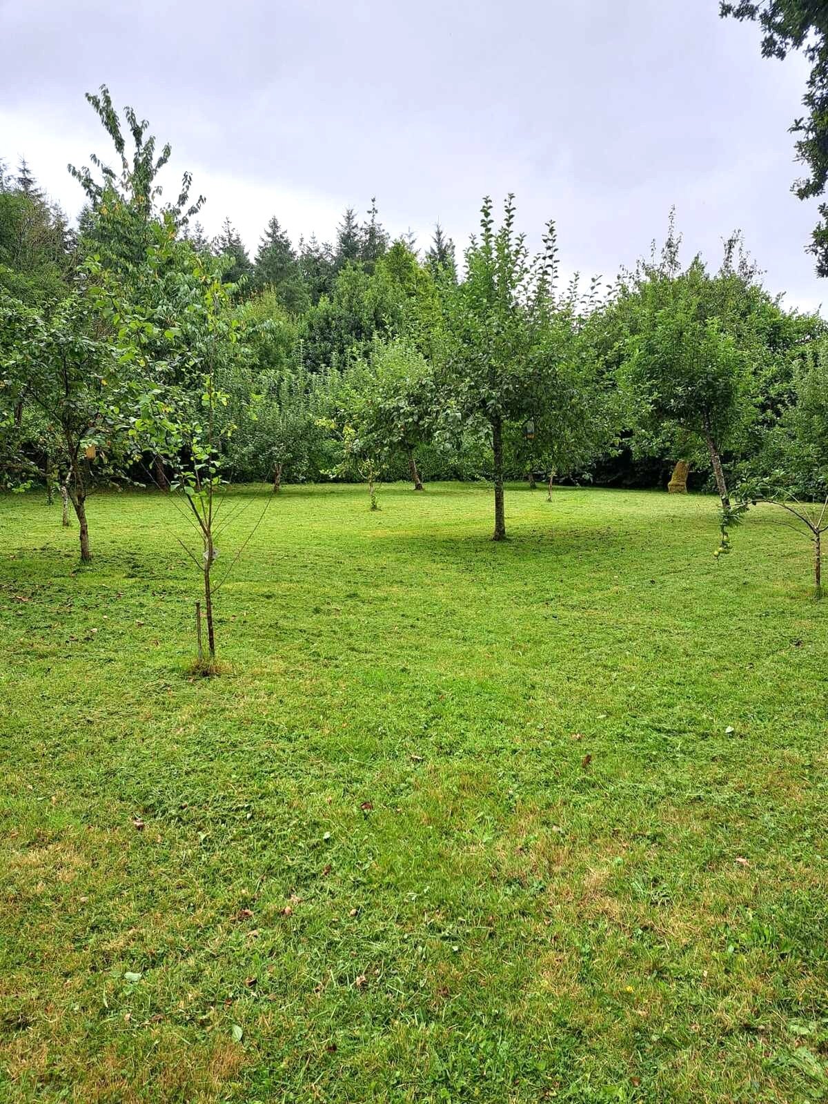 3 Bed, 1 Bath, HouseFor Sale, Lignieres Orgeres, Pays-de-la-Loire, 53140