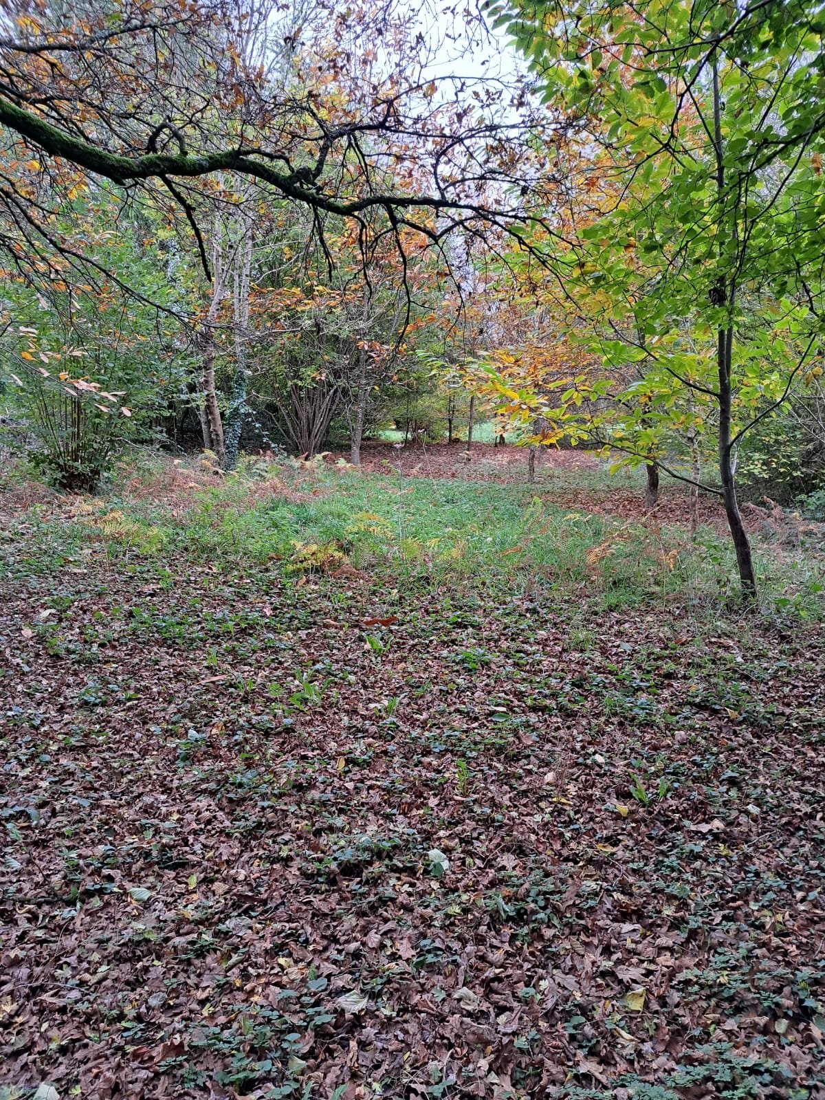 3 Bed, 1 Bath, HouseFor Sale, Lignieres Orgeres, Pays-de-la-Loire, 53140