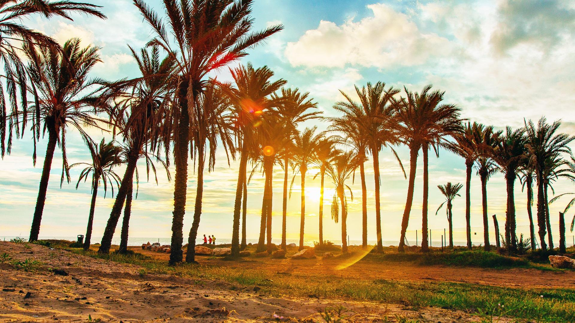 2 Bed, 2 Bath, ApartmentFor Sale, Orihuela Costa, Alicante