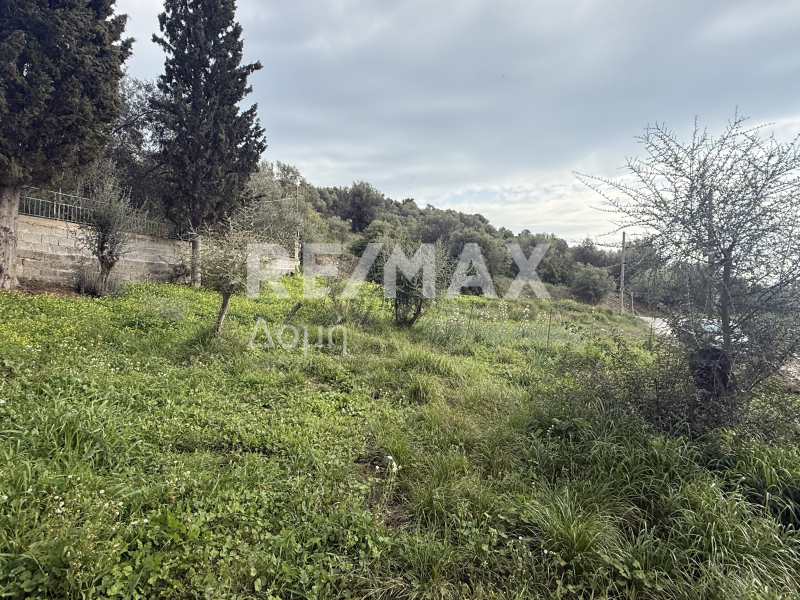 Land, For Sale