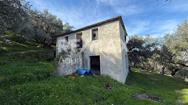 HouseFor Sale, Xorichti, Mouresi, Magnesia