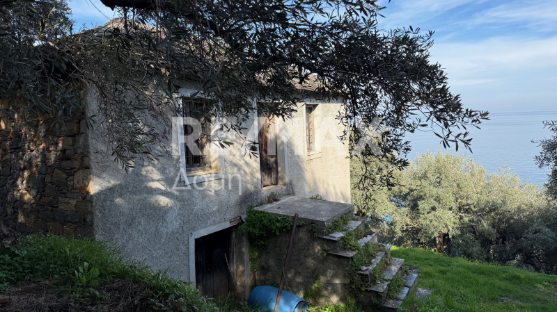 HouseFor Sale, Xorichti, Mouresi, Magnesia