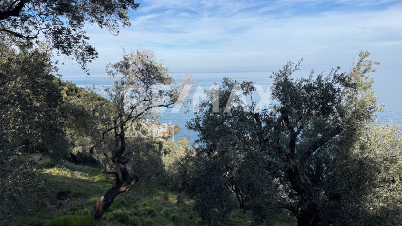 HouseFor Sale, Xorichti, Mouresi, Magnesia