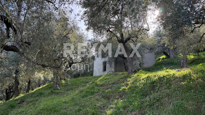 HouseFor Sale, Xorichti, Mouresi, Magnesia