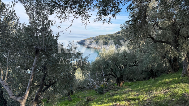 HouseFor Sale, Xorichti, Mouresi, Magnesia
