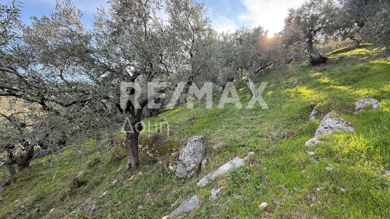 HouseFor Sale, Xorichti, Mouresi, Magnesia