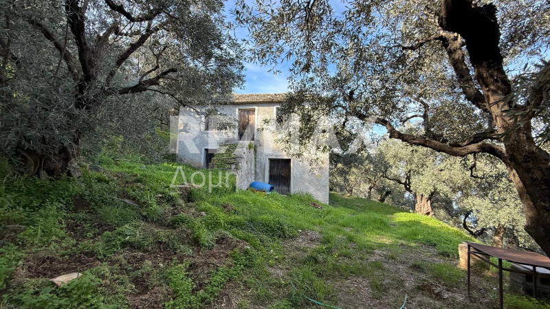 HouseFor Sale, Xorichti, Mouresi, Magnesia