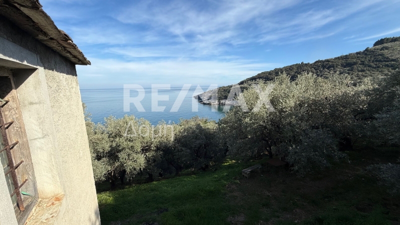 HouseFor Sale, Xorichti, Mouresi, Magnesia