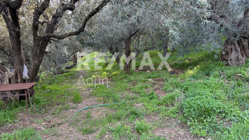 HouseFor Sale, Xorichti, Mouresi, Magnesia