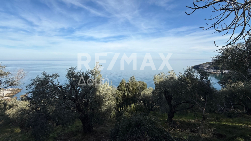 HouseFor Sale, Xorichti, Mouresi, Magnesia