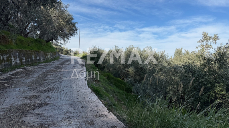 HouseFor Sale, Xorichti, Mouresi, Magnesia