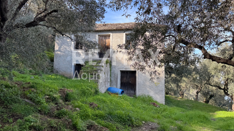 HouseFor Sale, Xorichti, Mouresi, Magnesia