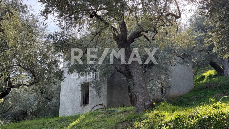 HouseFor Sale, Xorichti, Mouresi, Magnesia