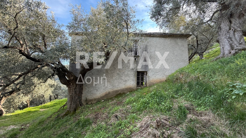 HouseFor Sale, Xorichti, Mouresi, Magnesia