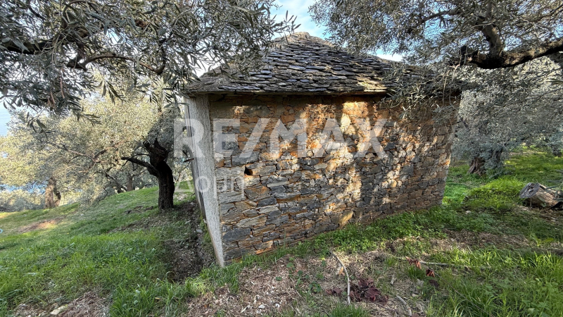 HouseFor Sale, Xorichti, Mouresi, Magnesia