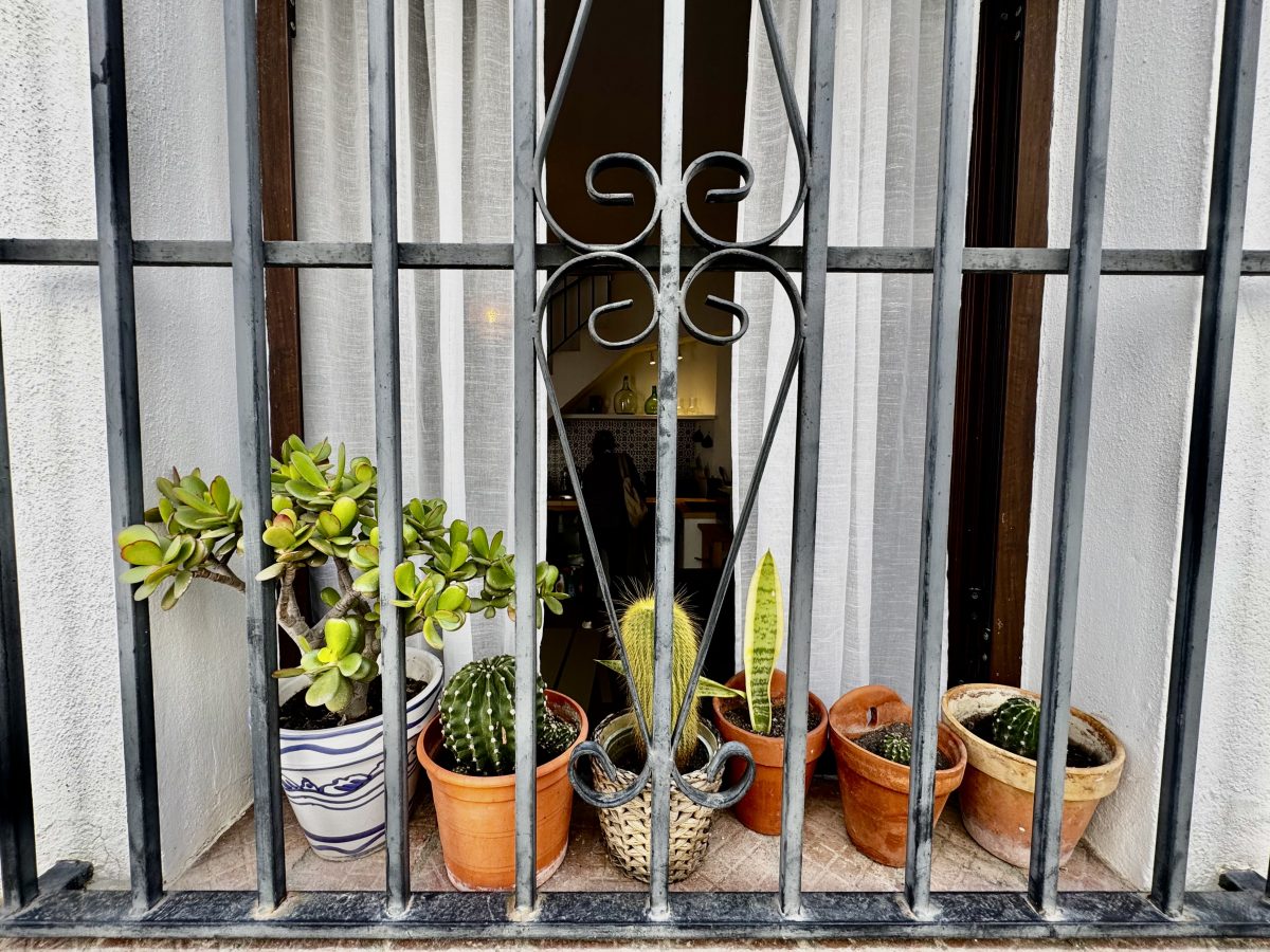 1 Bath, HouseFor Sale, Olvera, Andalucia