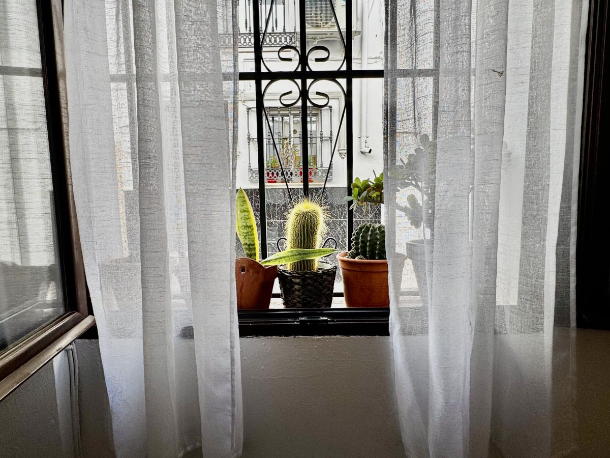 1 Bath, HouseFor Sale, Olvera, Andalucia