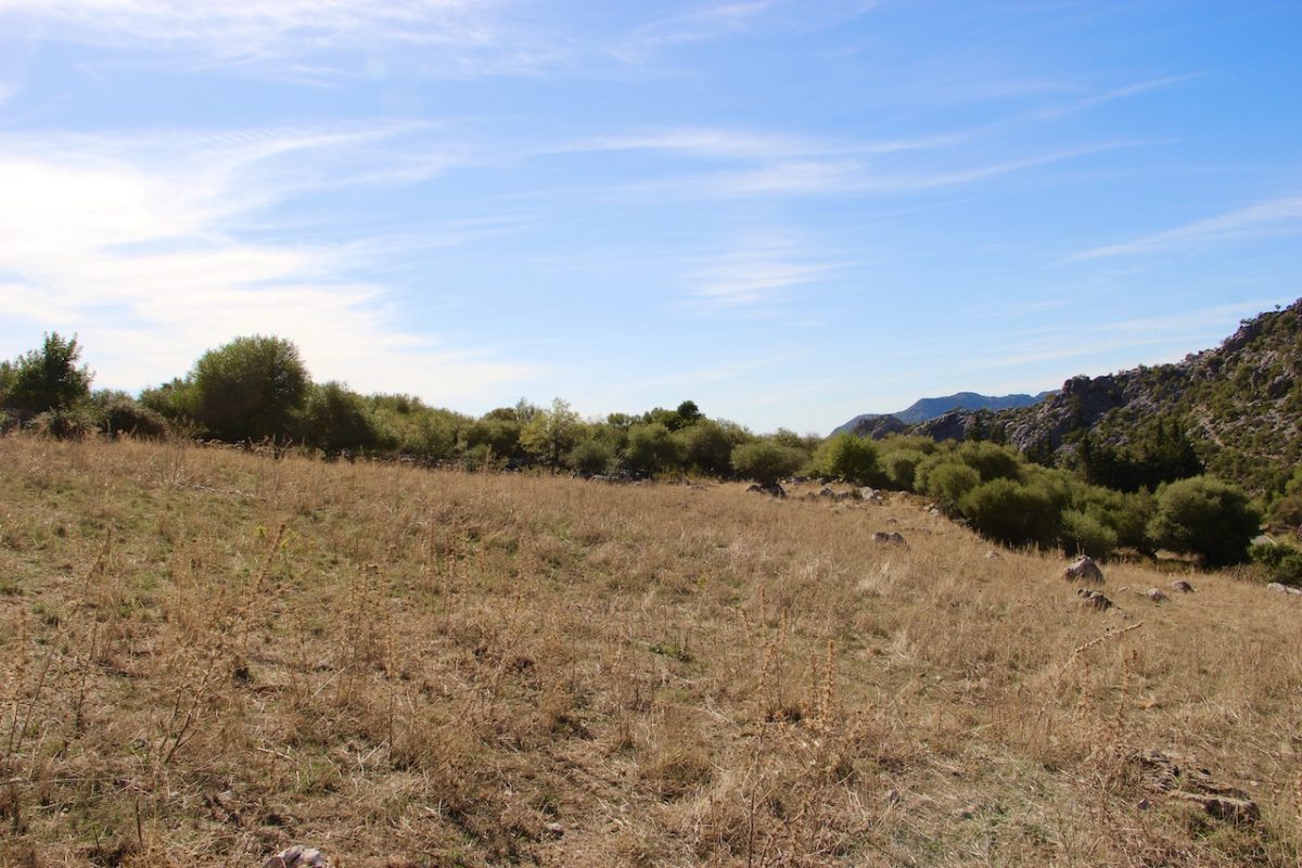 3 Bed, 1 Bath, HouseFor Sale, Benaocaz, Andalucia