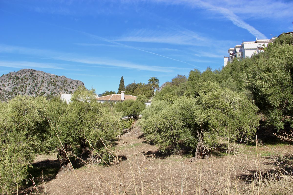 4 Bed, 2 Bath, HouseFor Sale, Benaocaz, Andalucia