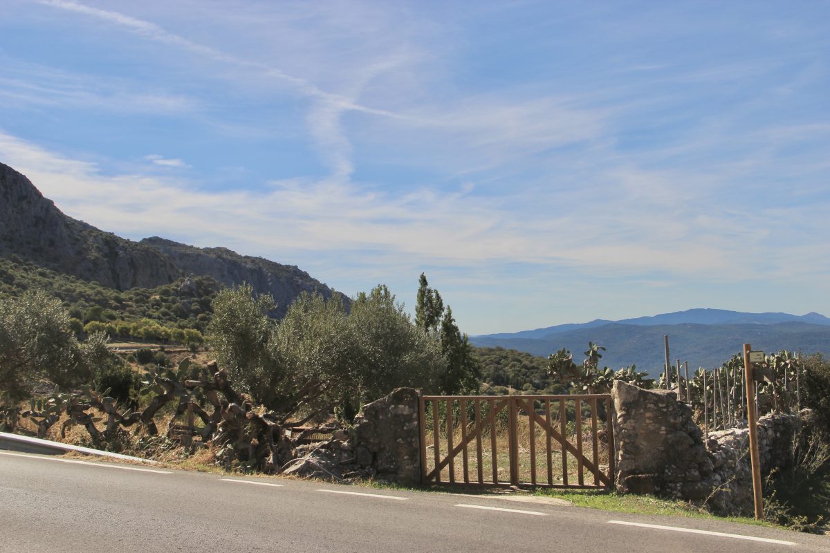 4 Bed, 2 Bath, HouseFor Sale, Benaocaz, Andalucia