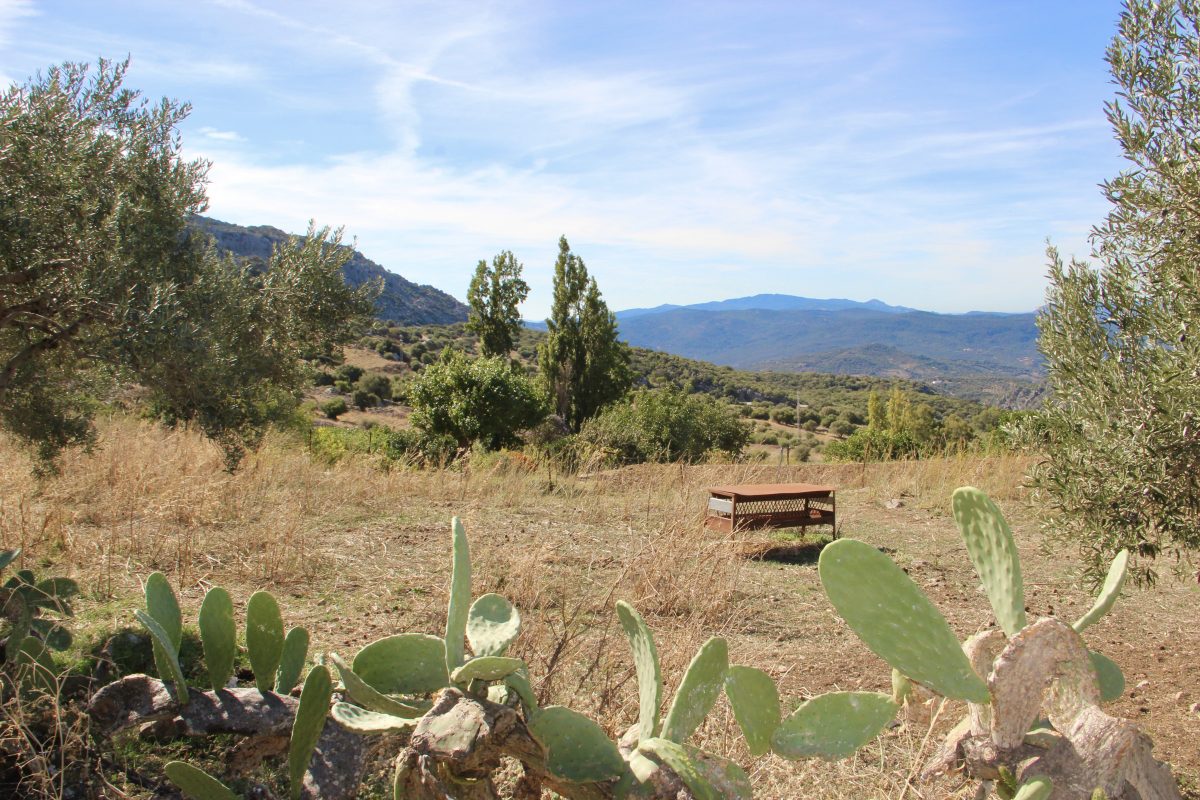 4 Bed, 2 Bath, HouseFor Sale, Benaocaz, Andalucia