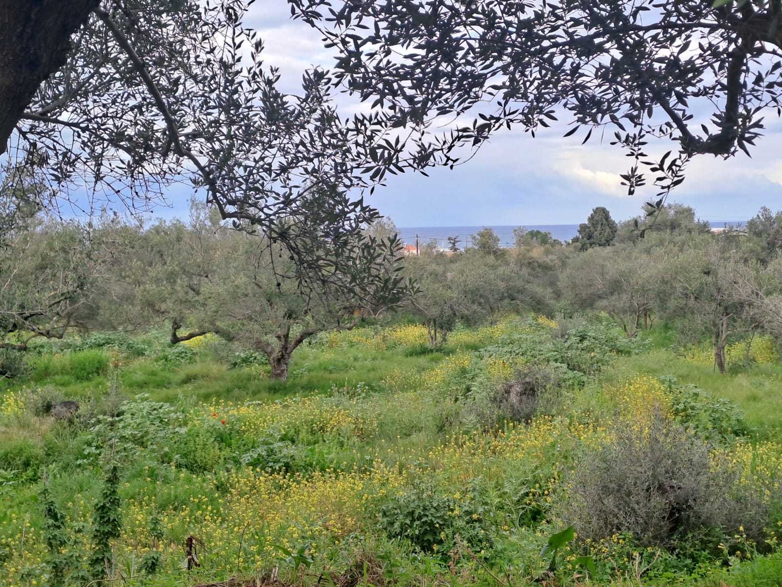 3 Bed, 2 Bath, HouseFor Sale, Chania, Crete