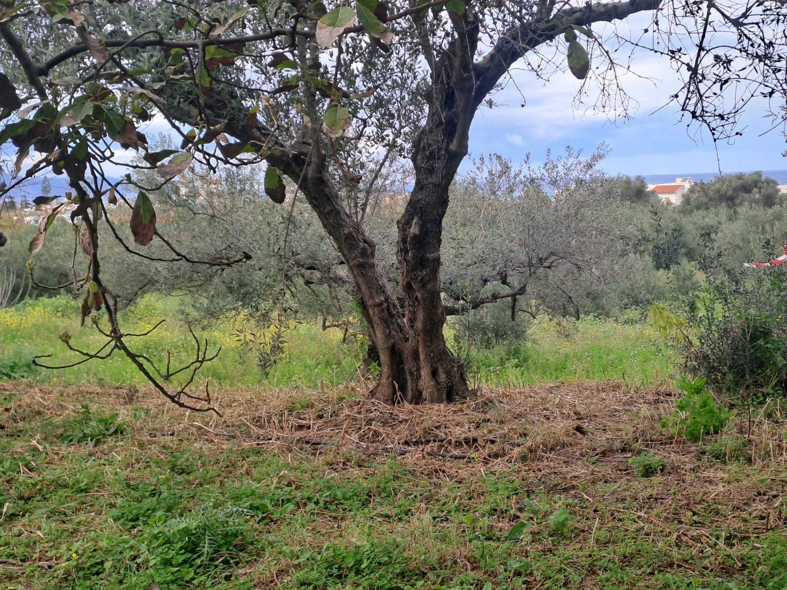 3 Bed, 2 Bath, HouseFor Sale, Chania, Crete