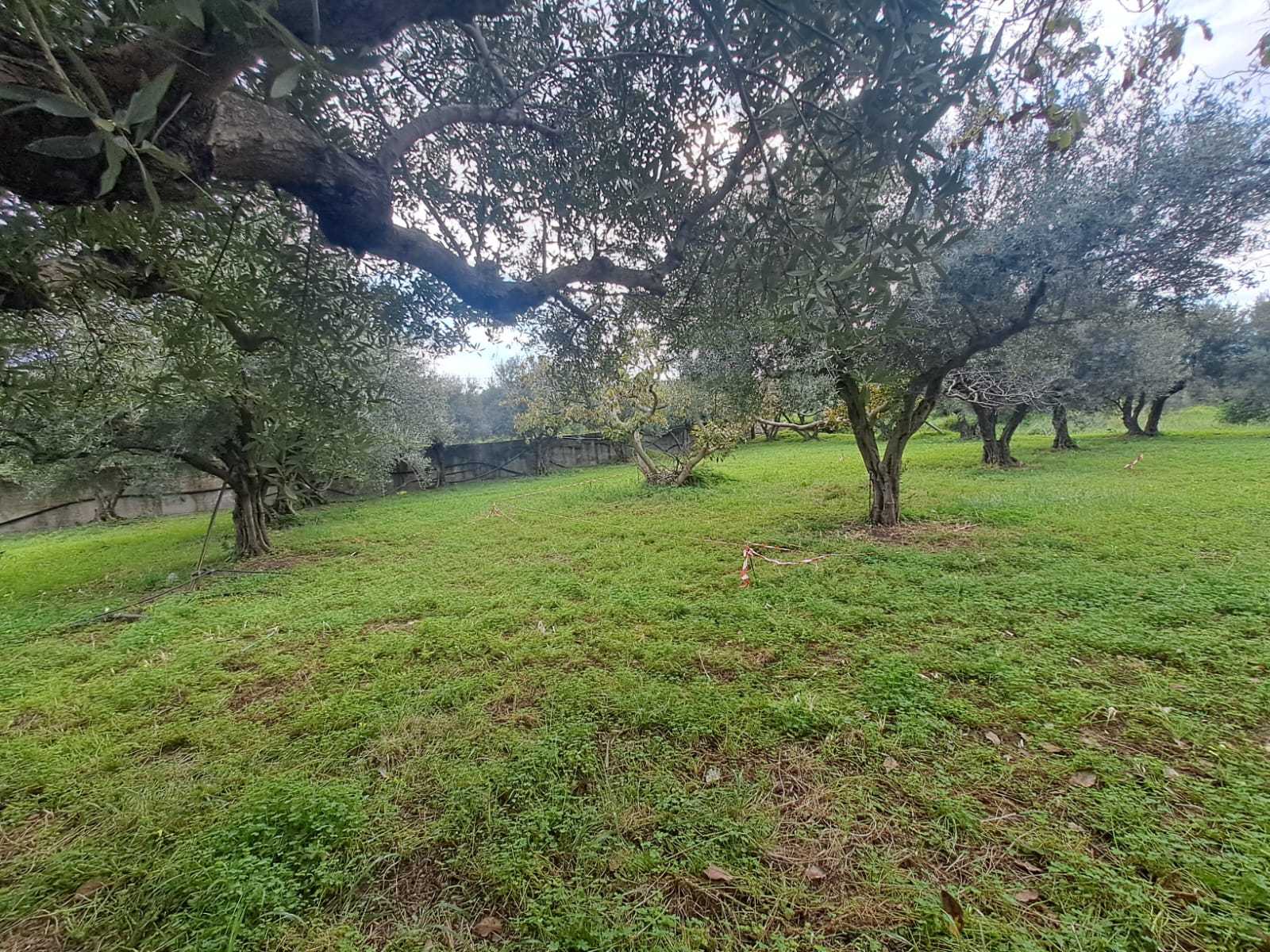 3 Bed, 2 Bath, HouseFor Sale, Chania, Crete