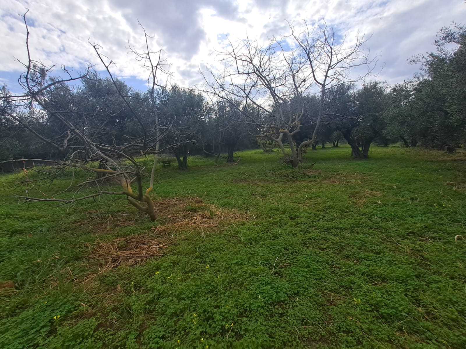 3 Bed, 2 Bath, HouseFor Sale, Chania, Crete