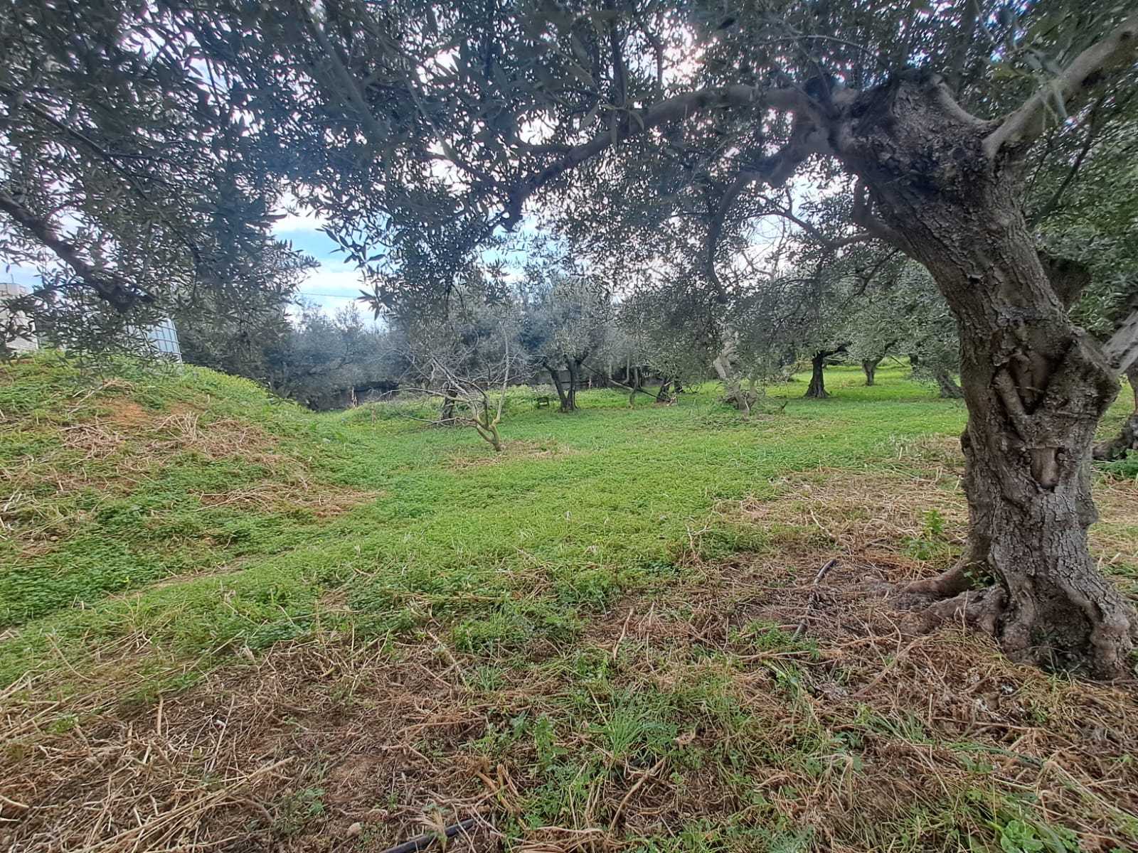 3 Bed, 2 Bath, HouseFor Sale, Chania, Crete