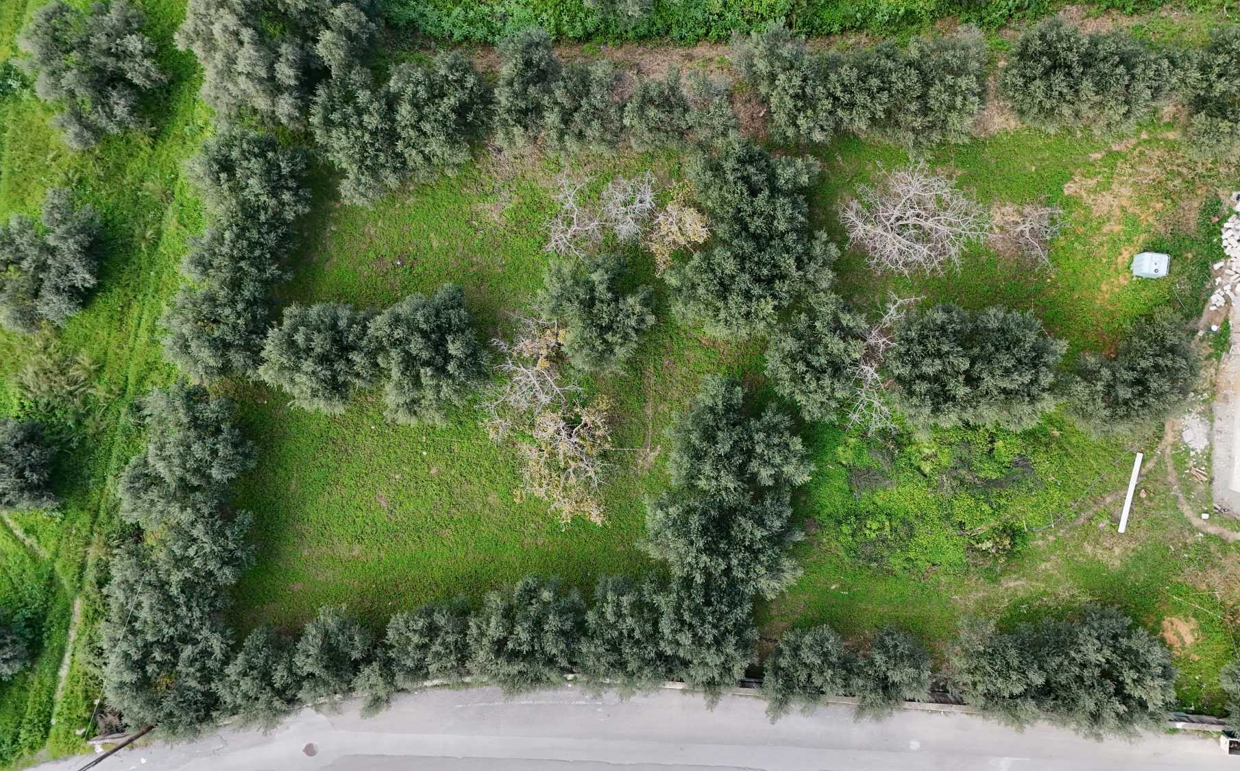 3 Bed, 2 Bath, HouseFor Sale, Chania, Crete