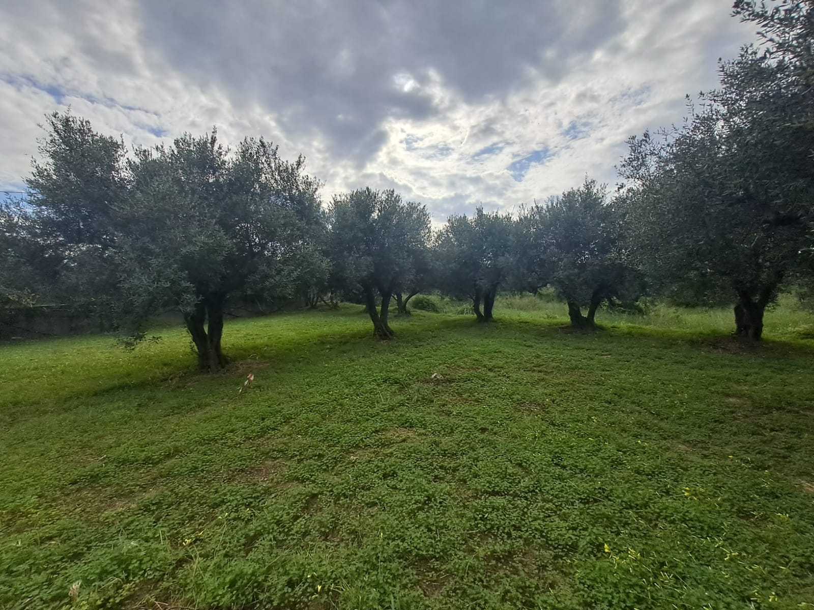 3 Bed, 2 Bath, HouseFor Sale, Chania, Crete