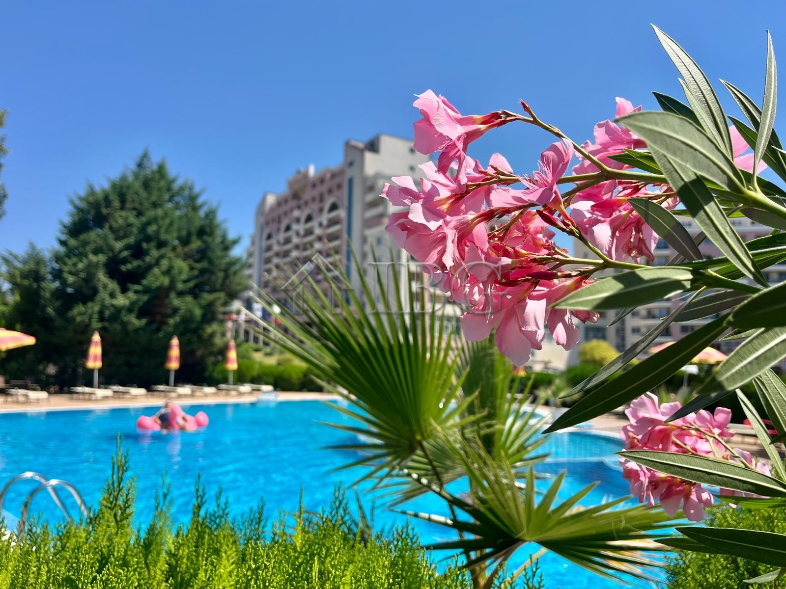 1 Bath, ApartmentFor Sale, Sunny Beach Plaza, Sunny Beach