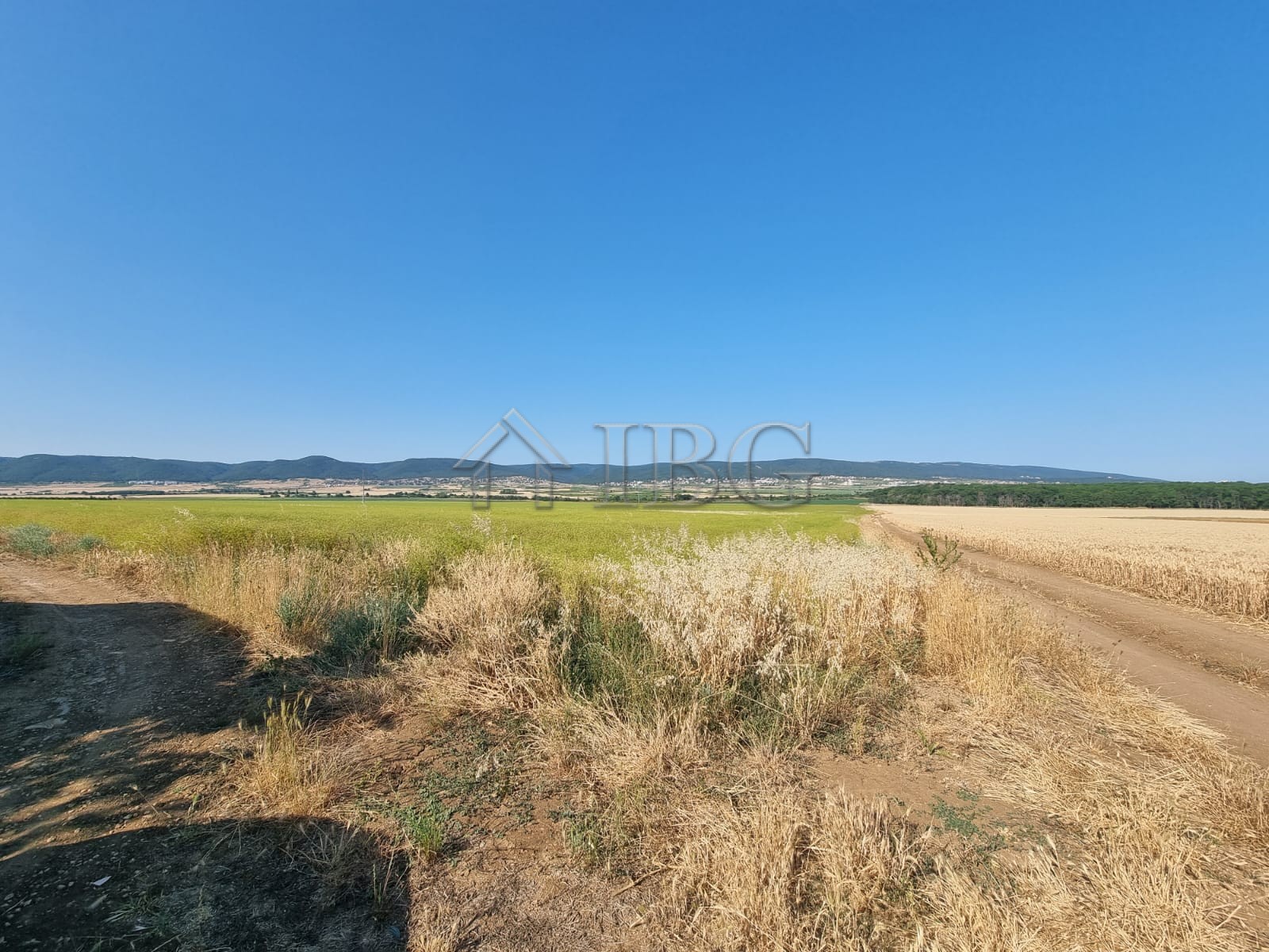 Land, For Sale