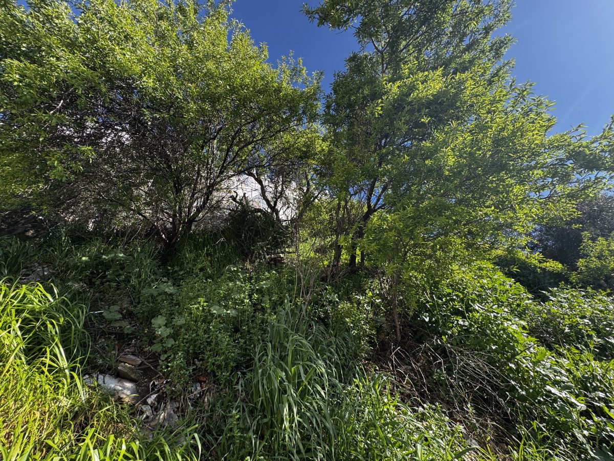 3 Bed, 1 Bath, HouseFor Sale, Olvera, Andalucia