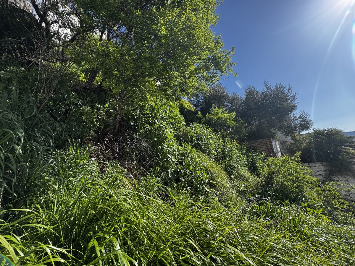 3 Bed, 1 Bath, HouseFor Sale, Olvera, Andalucia