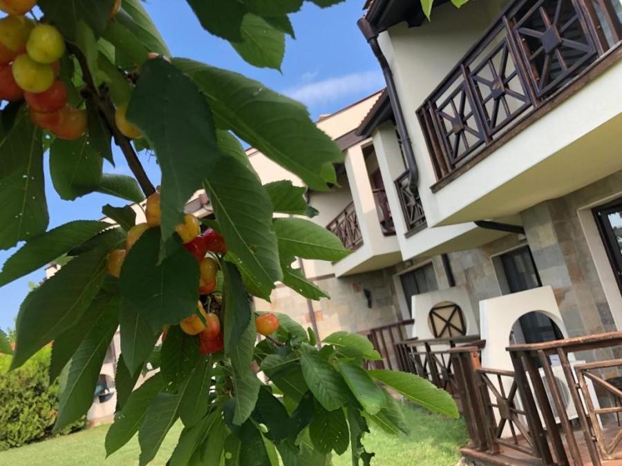 1 Bed, 1 Bath, ApartmentFor Sale, Sunny Beach