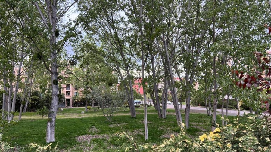 1 Bath, ApartmentFor Sale, Sunny Beach