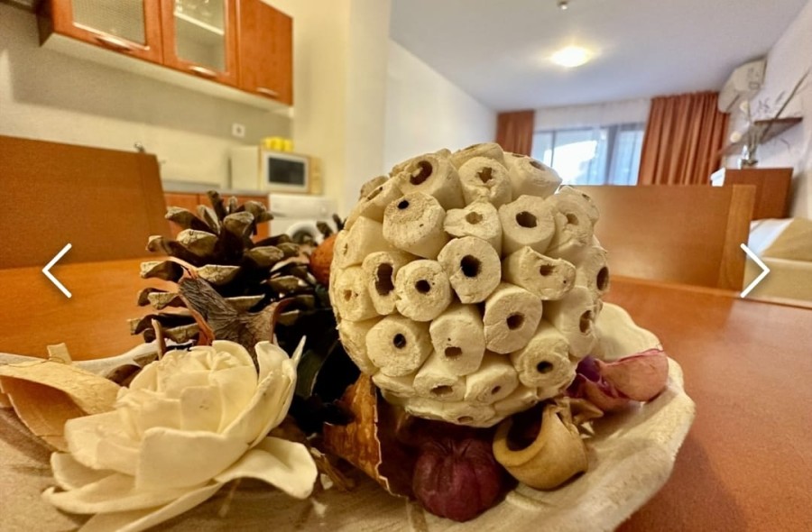 1 Bed, 1 Bath, ApartmentFor Sale, Aheloy