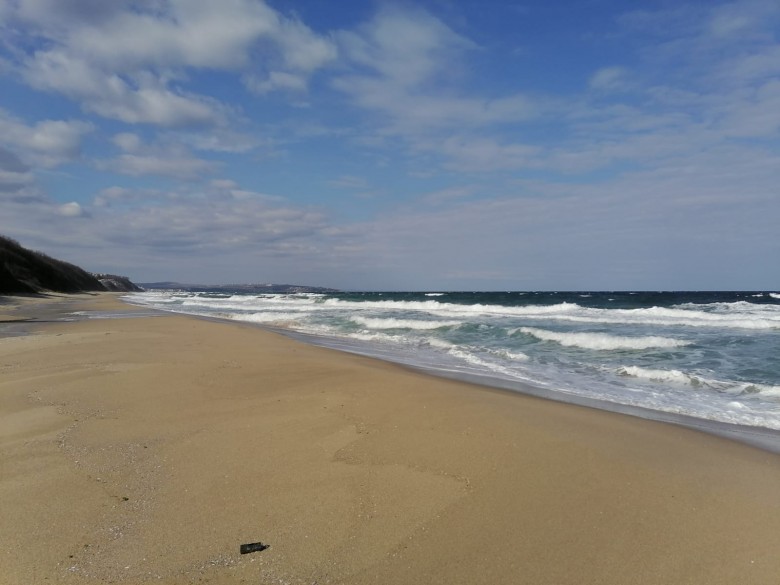 ApartmentFor Sale, Obzor