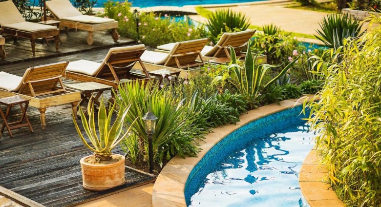 ApartmentFor Sale, Obzor