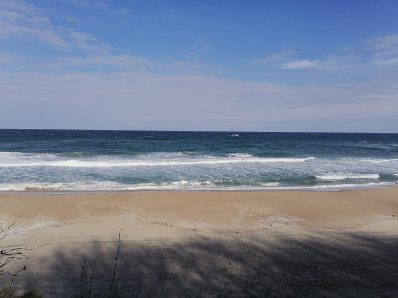 ApartmentFor Sale, Obzor