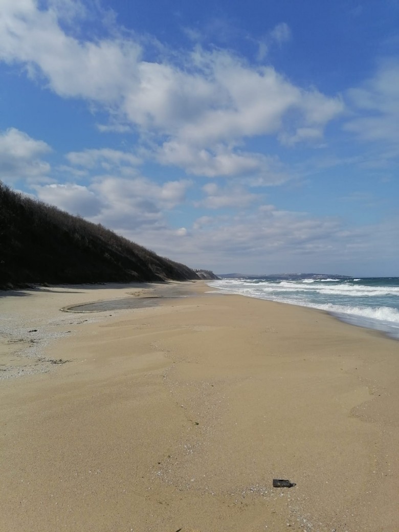 ApartmentFor Sale, Obzor