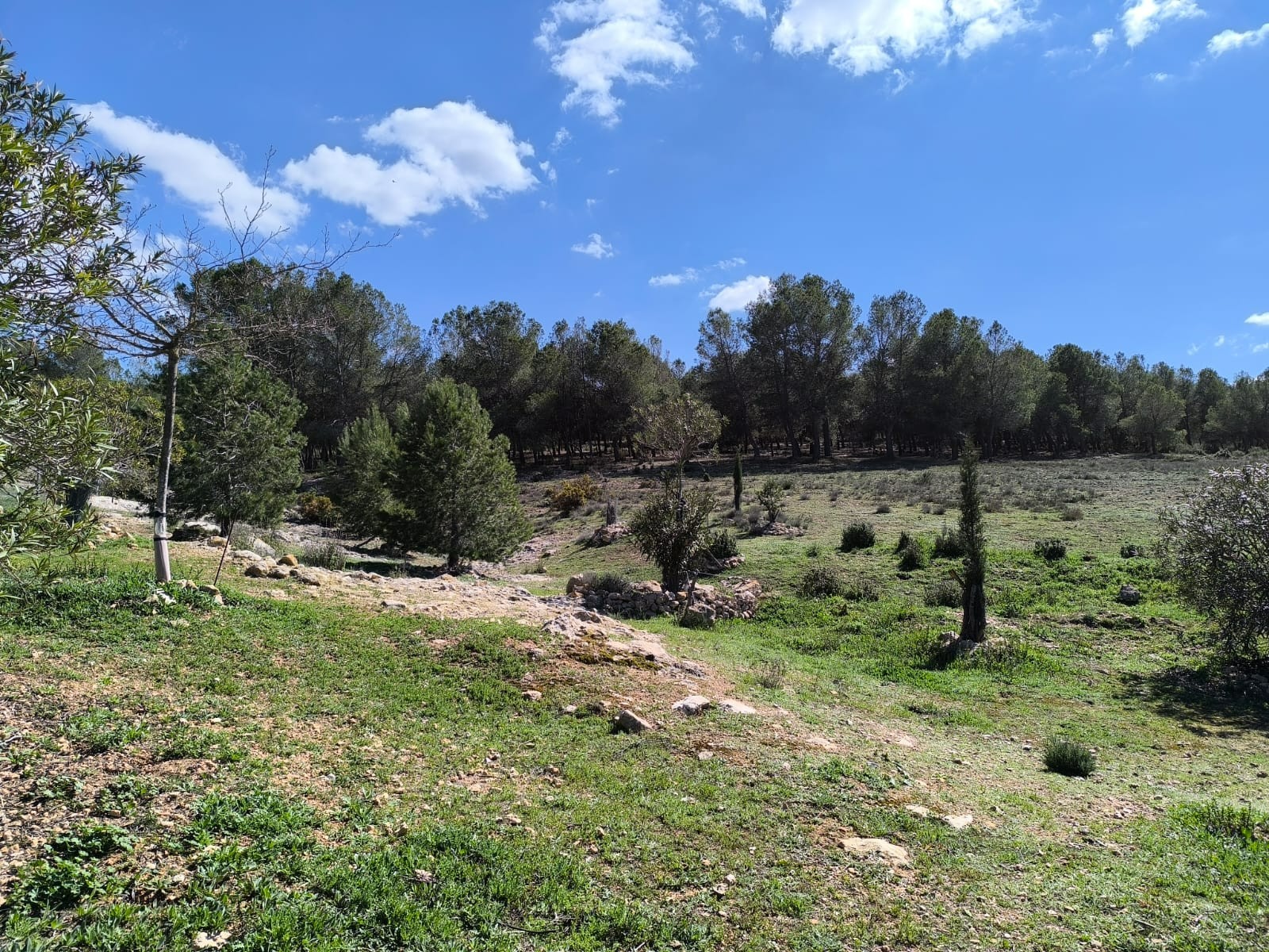 4 Bed, 2 Bath, HouseFor Sale, Villena, Alicante