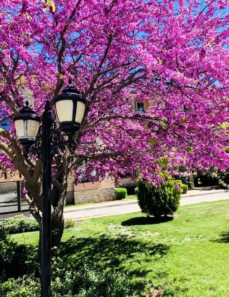 1 Bath, ApartmentFor Sale, Apart-hotel Kaliakria Resort, Topola