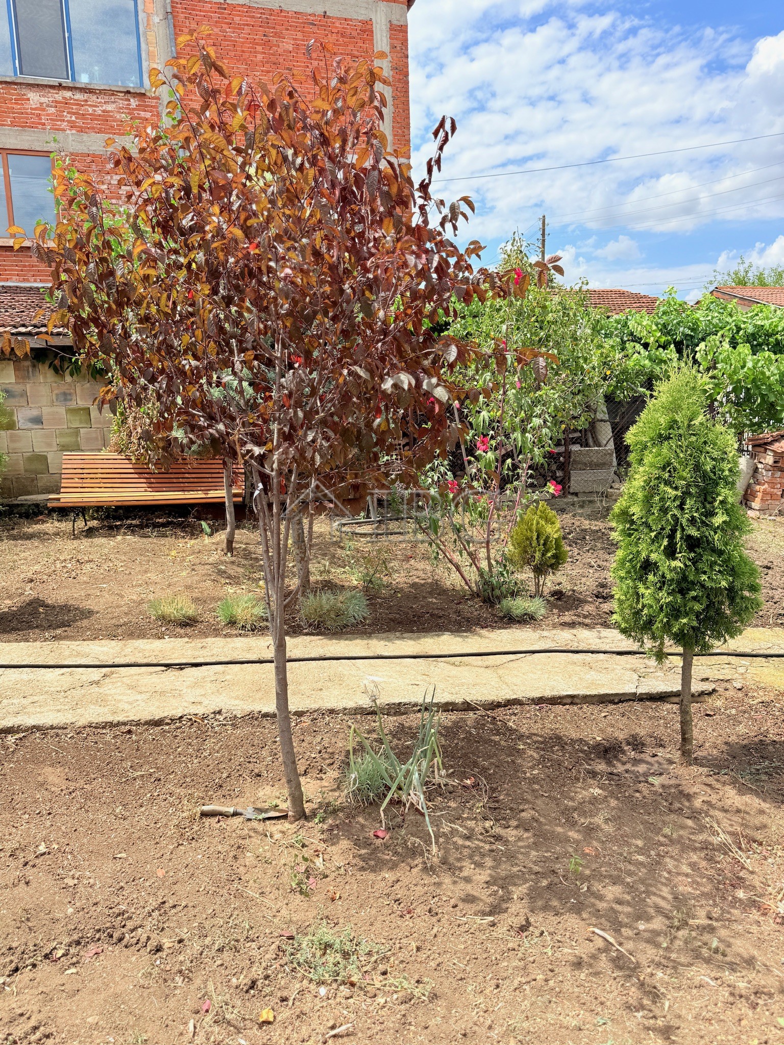 2 Bath, HouseFor Sale, Sredets