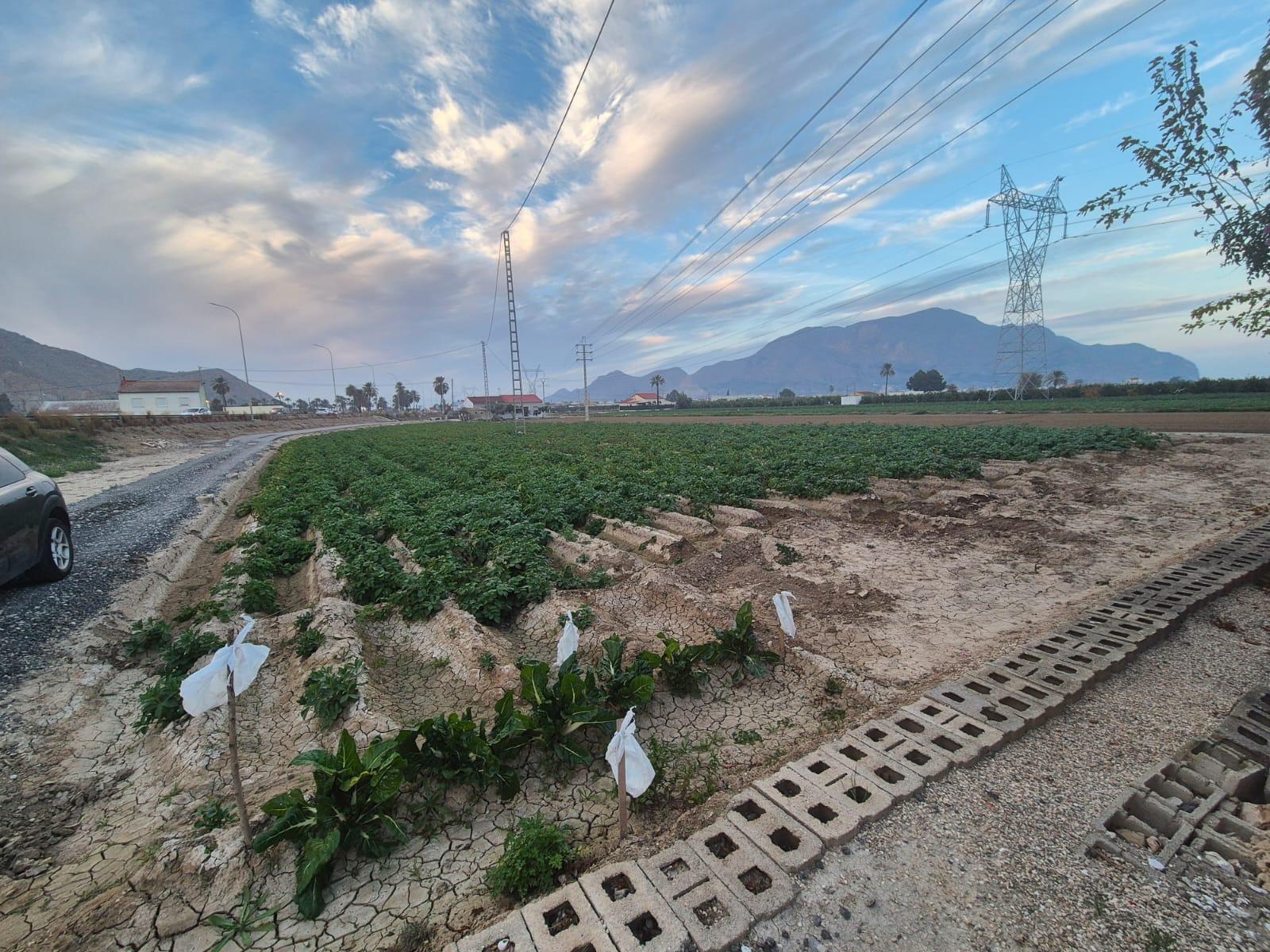 3 Bed, 2 Bath, HouseFor Sale, Orihuela, Alicante