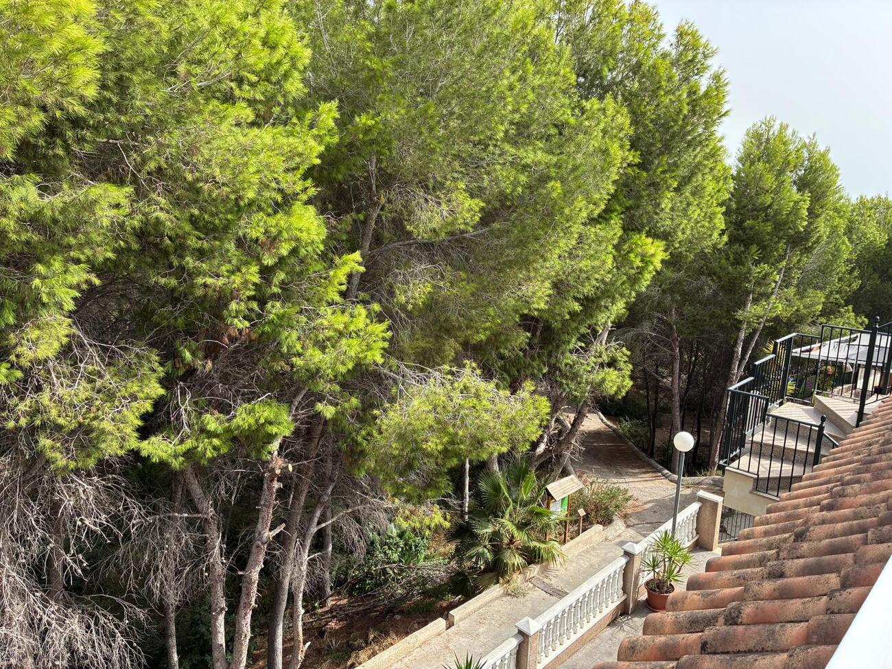 2 Bed, 1 Bath, ApartmentFor Sale, Algorfa, Alicante