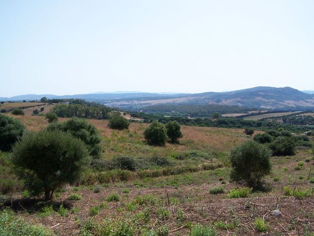 Land, For Sale