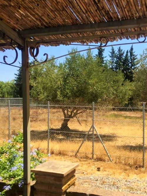 Commercial Property, For Sale